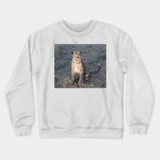 Watchful leopard cub Crewneck Sweatshirt